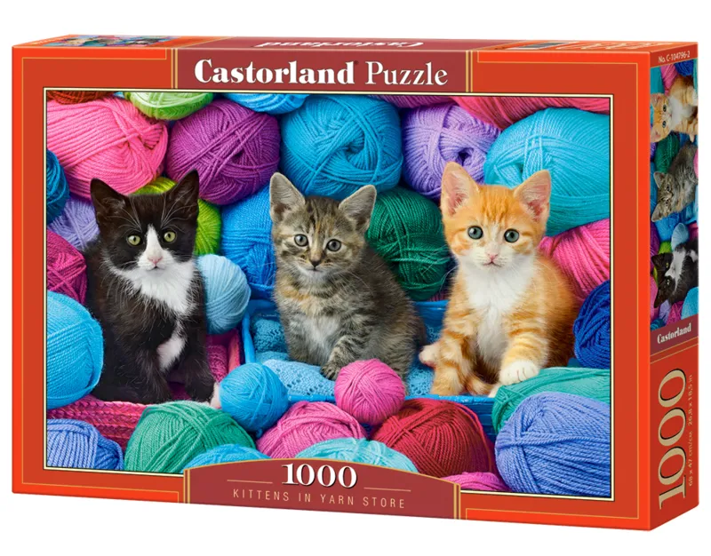 Chatons dans un Magasin de Laine