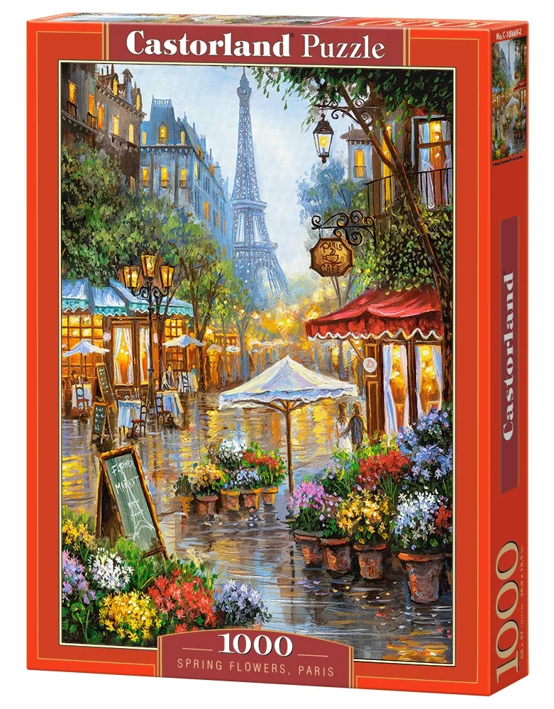 Fleurs de Printemps à Paris