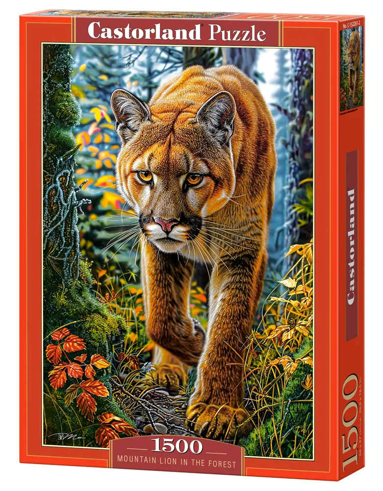 Lion des Montagnes dans la Forêt