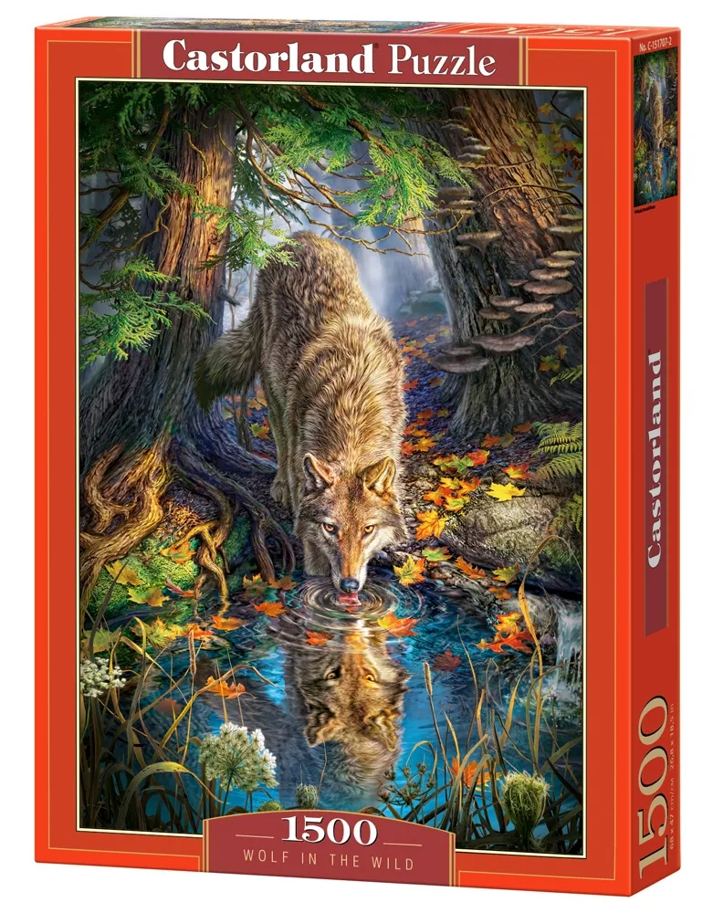 Loup dans la Forêt