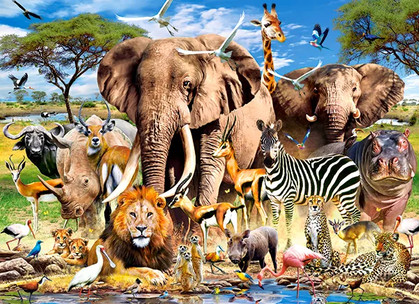Animaux de la Savanne