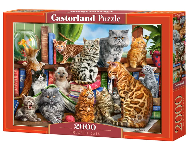 Maison des Chats