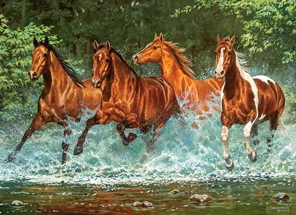 Course de la Cascade