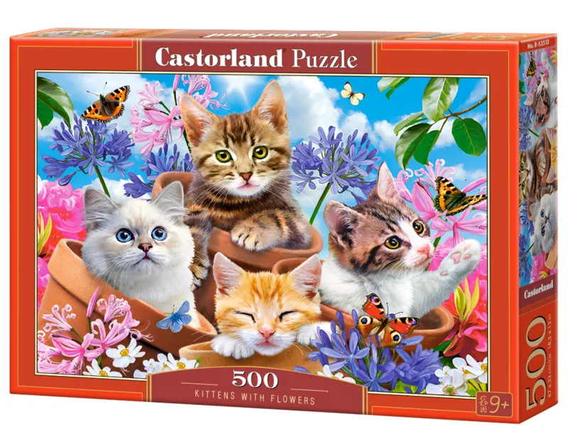 Chats avec Fleurs