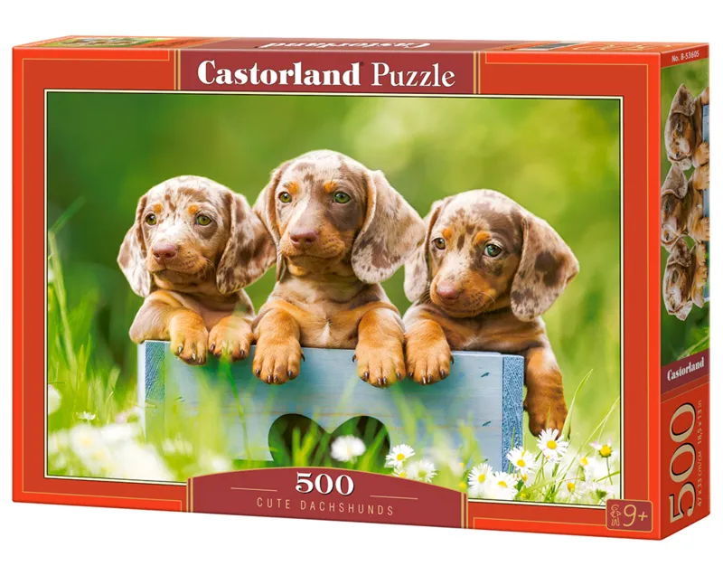 Mignons Chiots