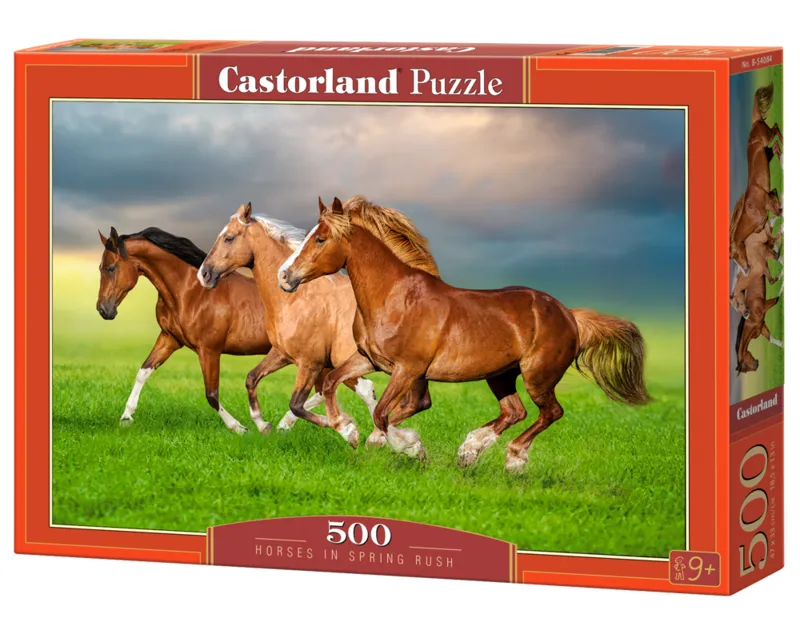 Chevaux en Ruée Vers le Printemps