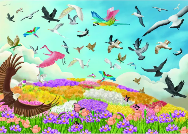 Amazing Birds