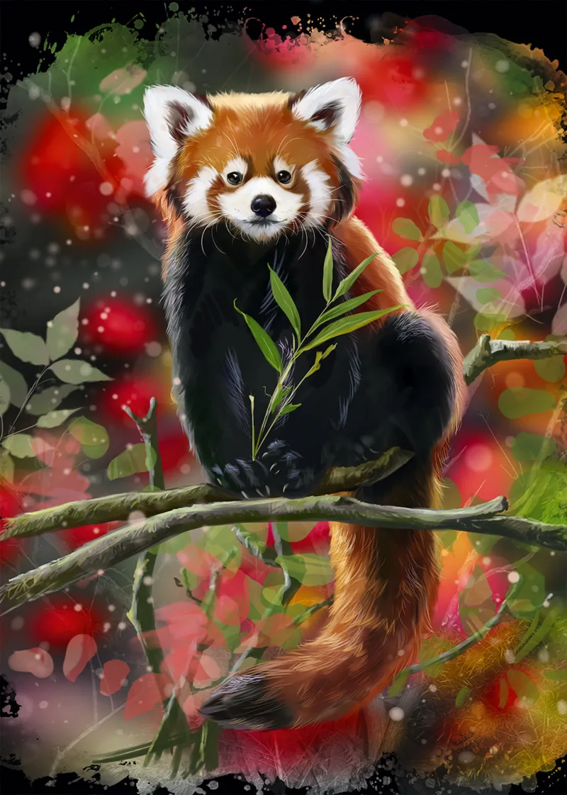 Panda Roux Assis sur une Branche
