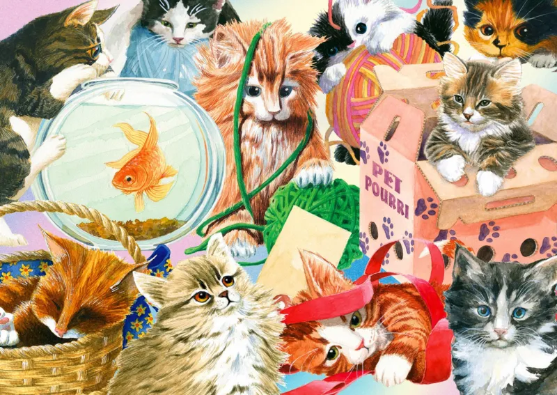 Curious Cats