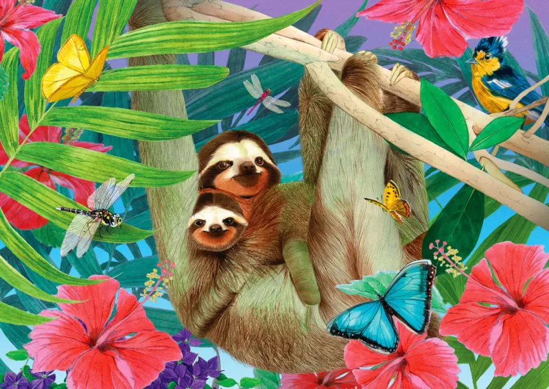 Sweet Sloths