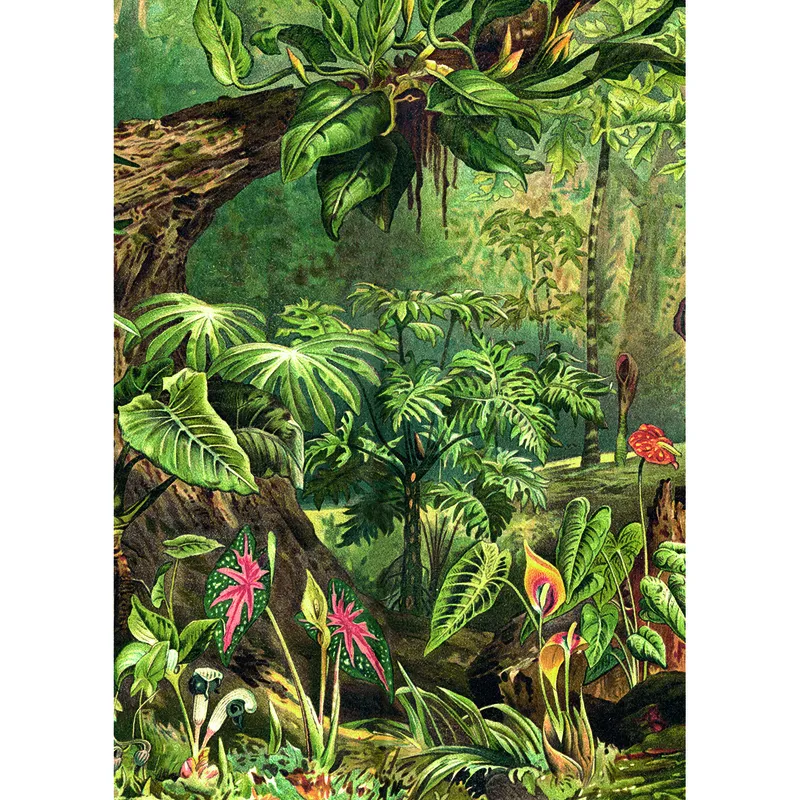 Jungle