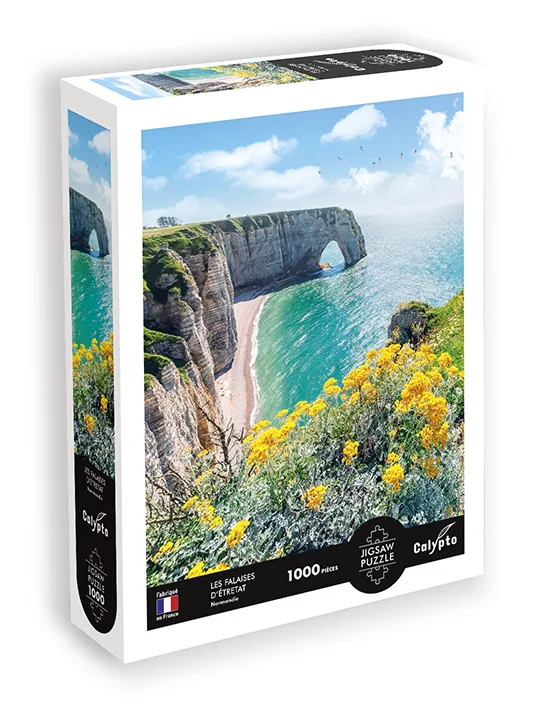 Paysage - Les Falaises D'Etretat - Normandie