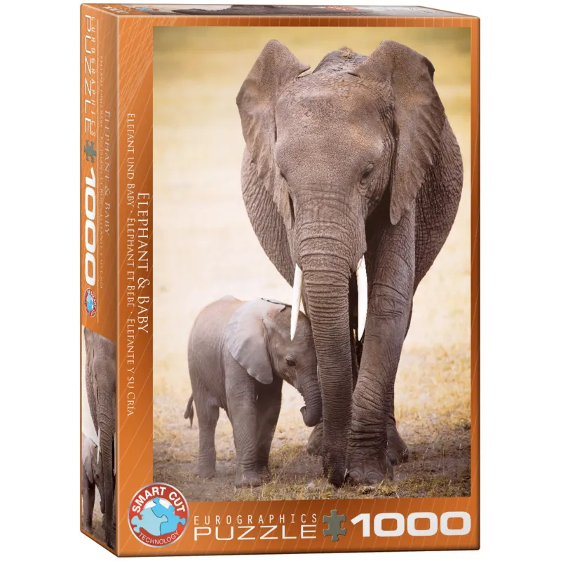 L'éléphant et l'éléphanteau