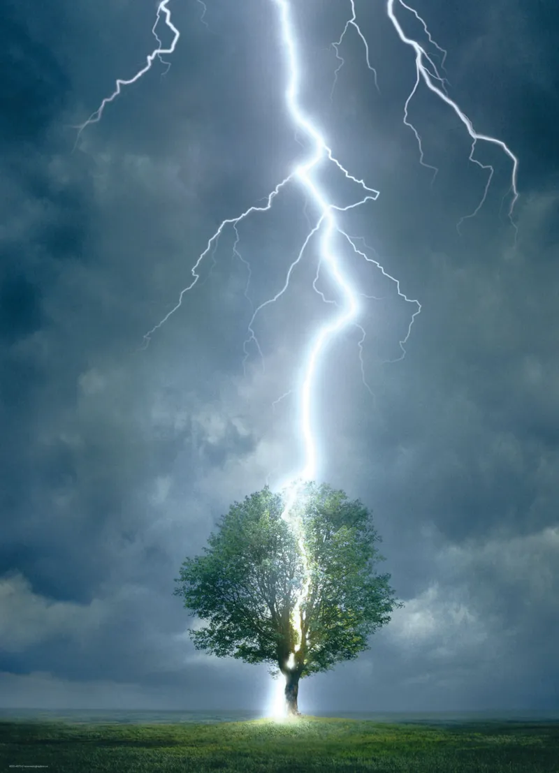 Foudre frappant un arbre
