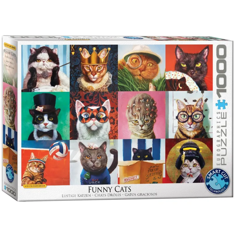 Funny Cats