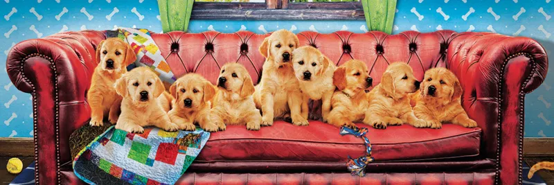 Labradors en Mode Détente