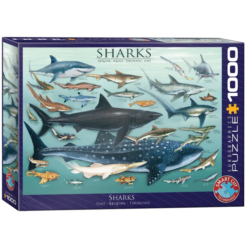 Requins