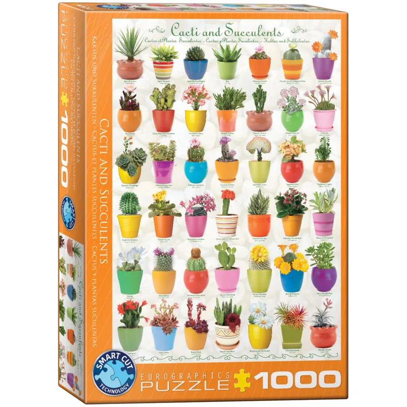 Cactus et Plantes Succulentes
