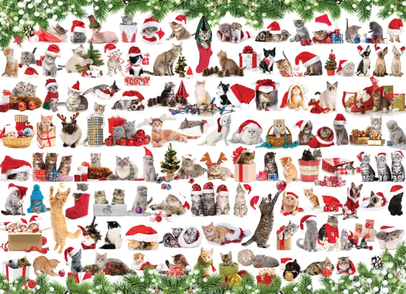 Chats de Noël