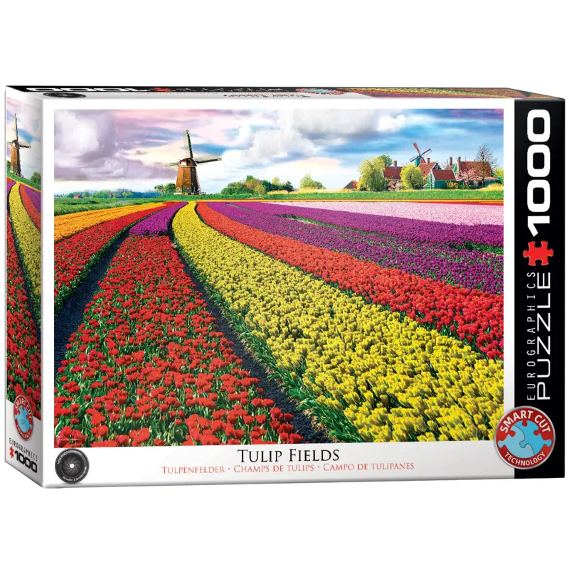 Champ de Tulipes aux Pays-Bas