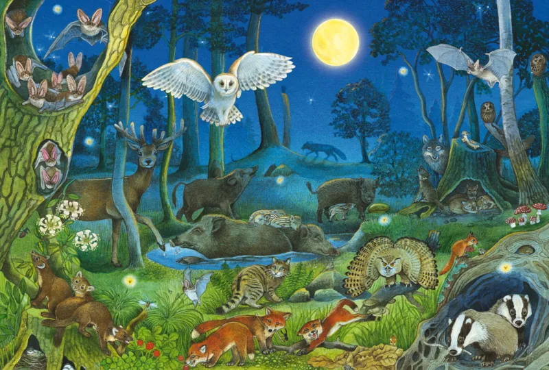 Animaux dans la Forêt Nocturne