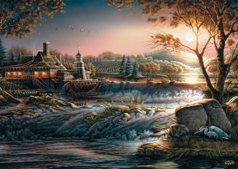 Nature Sauvage et Lumineuse