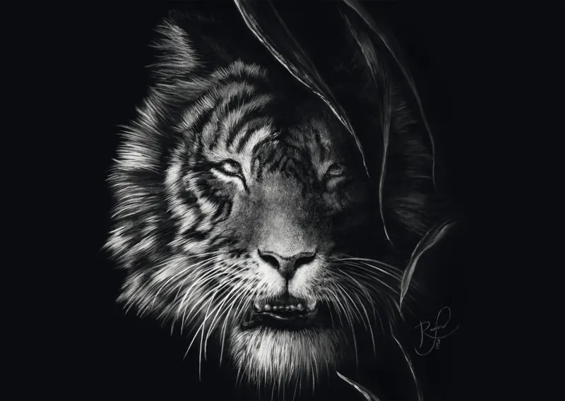 Indompté – Le Tigre : Sous le Signe de la Liberté