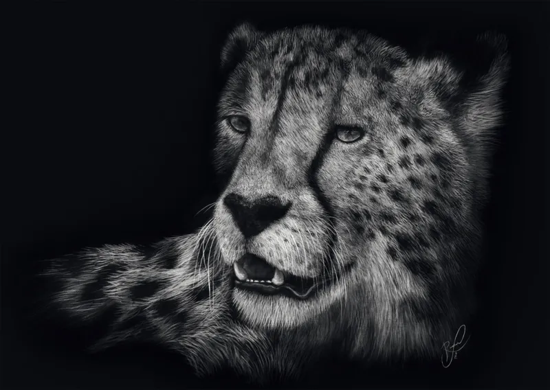 Véloce – Le Guépard : Sous le Signe de la Grâce