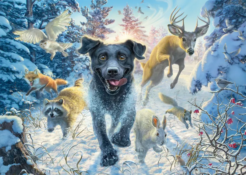Labrador Noir dans la Neige