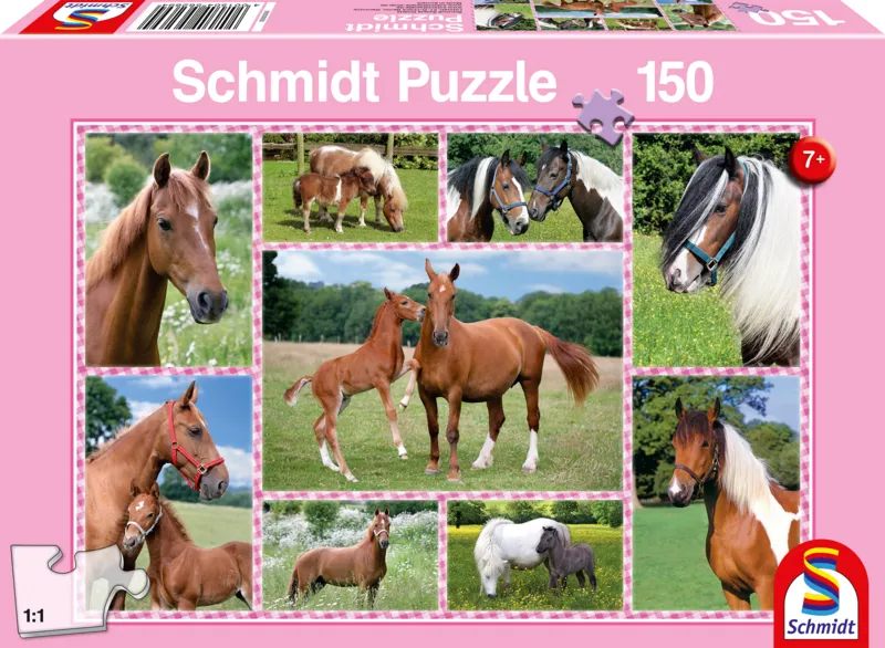 Rêves de Cheval