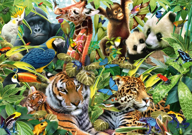 Faune colorée