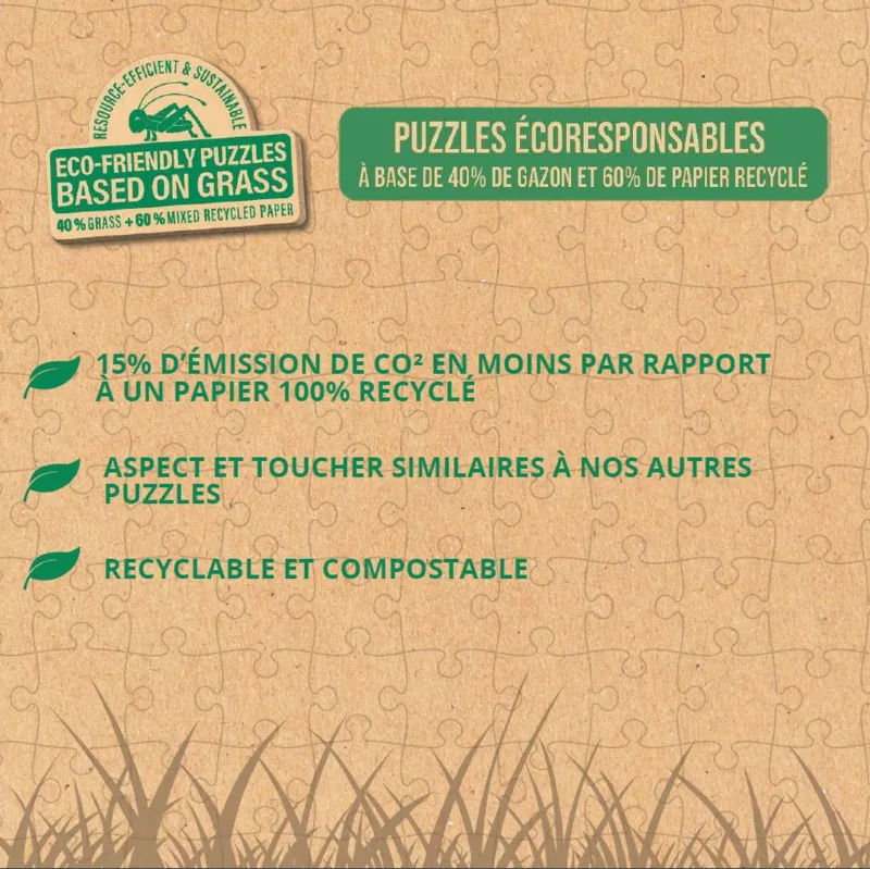 Disney - Mickey & Minnie Petite Douceur Au Feu de camp - Eco-Friendly