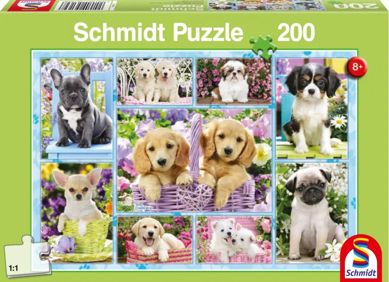 Chiots