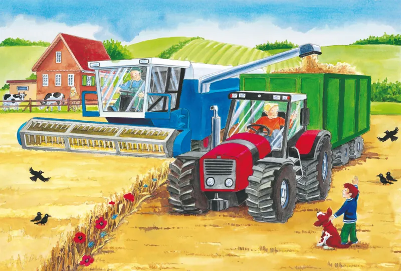 3 Puzzles - A La Ferme