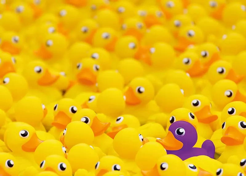 Canards