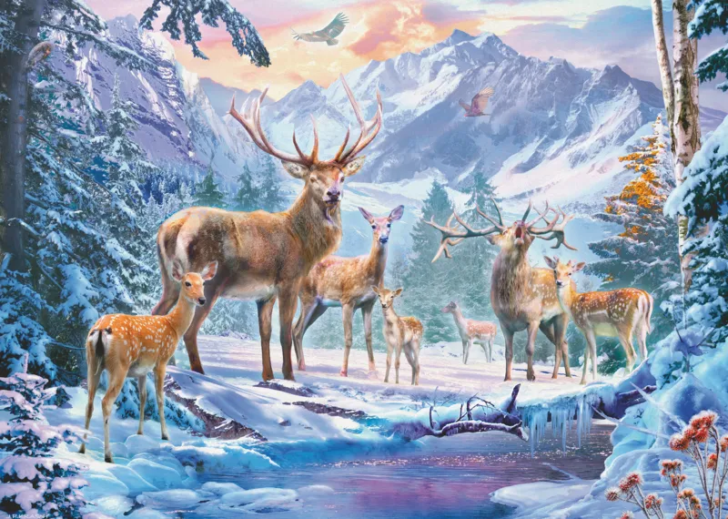 Chevreuils Et Cerfs