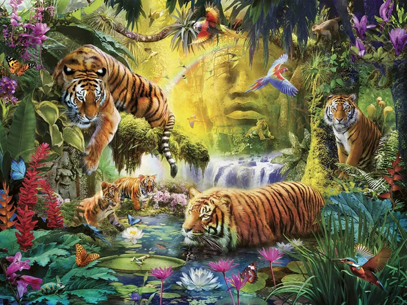 Tigres au Plan d'Eau