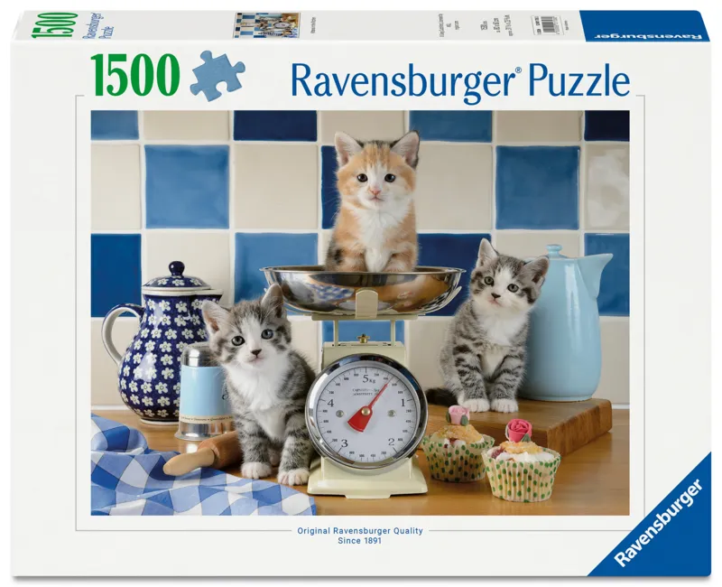 Chatons dans la Cuisine