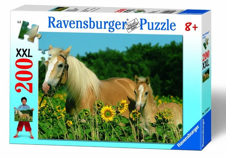 Mon cheval