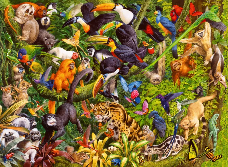 Pièces XXL - Jungle Colorée