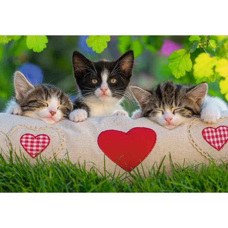 2 Puzzles - Sieste des Chatons