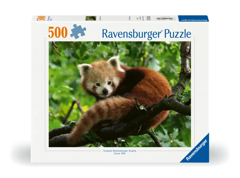 Panda Roux