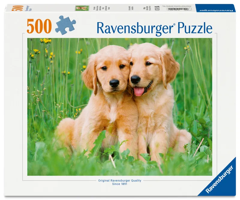 Les Frères Golden Retriever