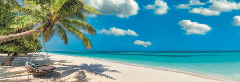 Se Balancer Par L'Ocean