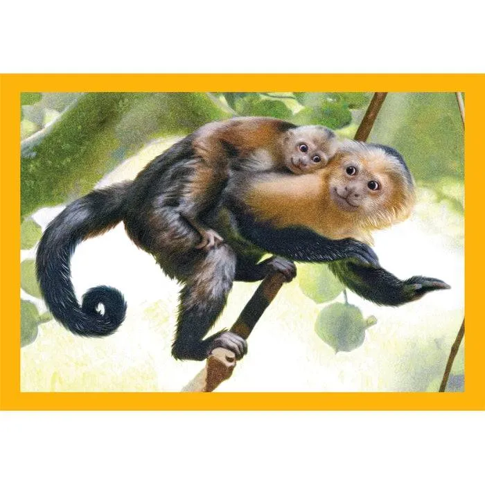 Puzzle 4 En 1 - Maman Bébé Animaux
