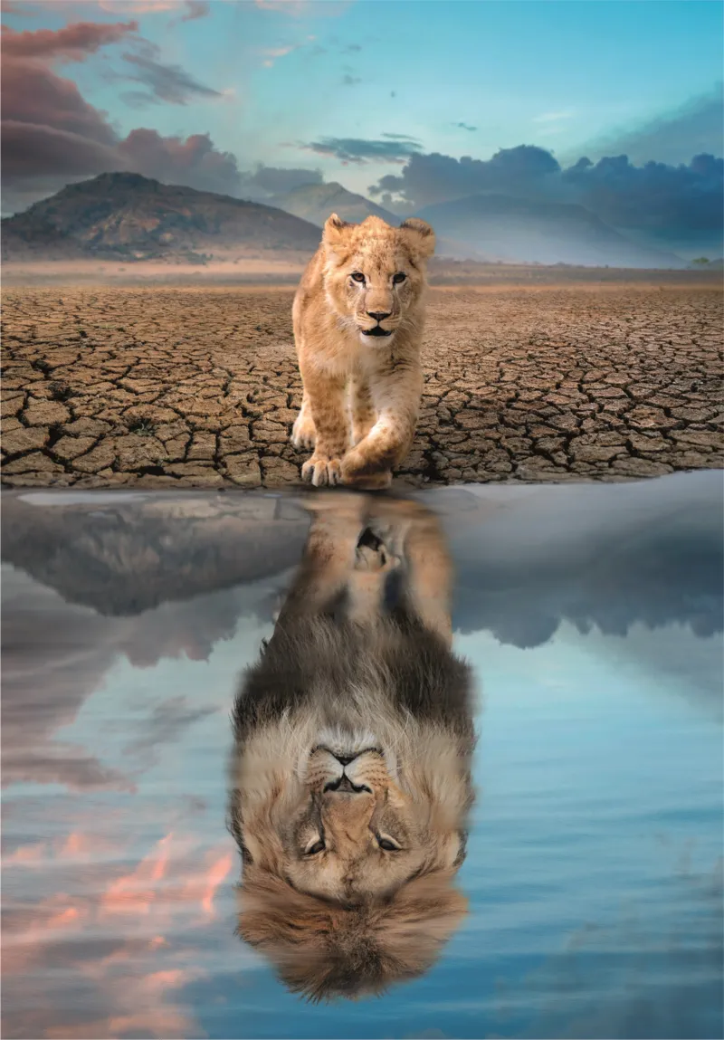 Reflet de Soi