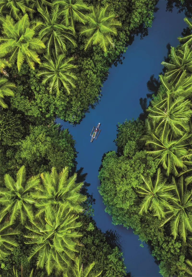 Vue Aérienne Tropicale