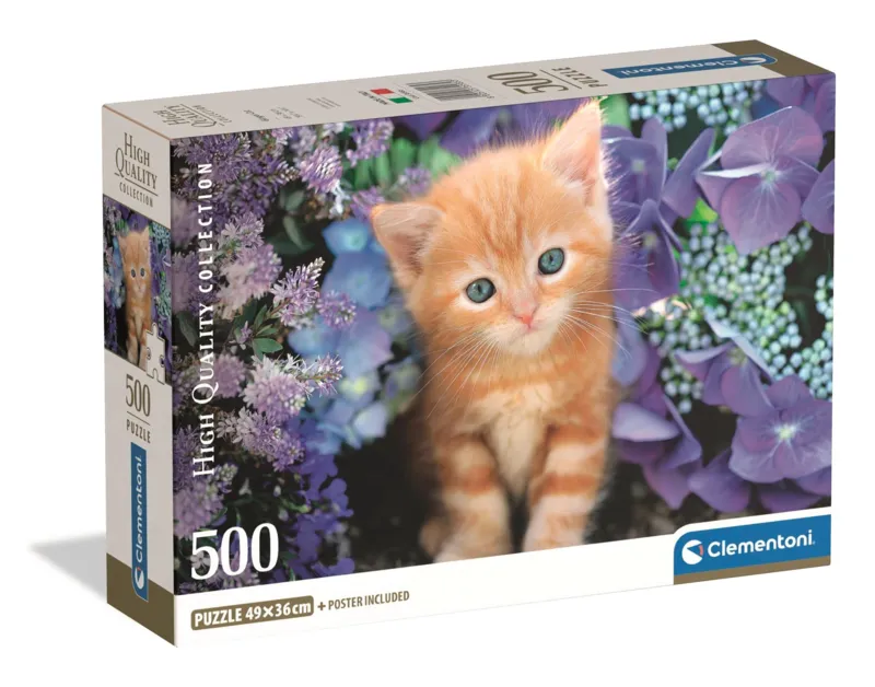 Ginger Cat