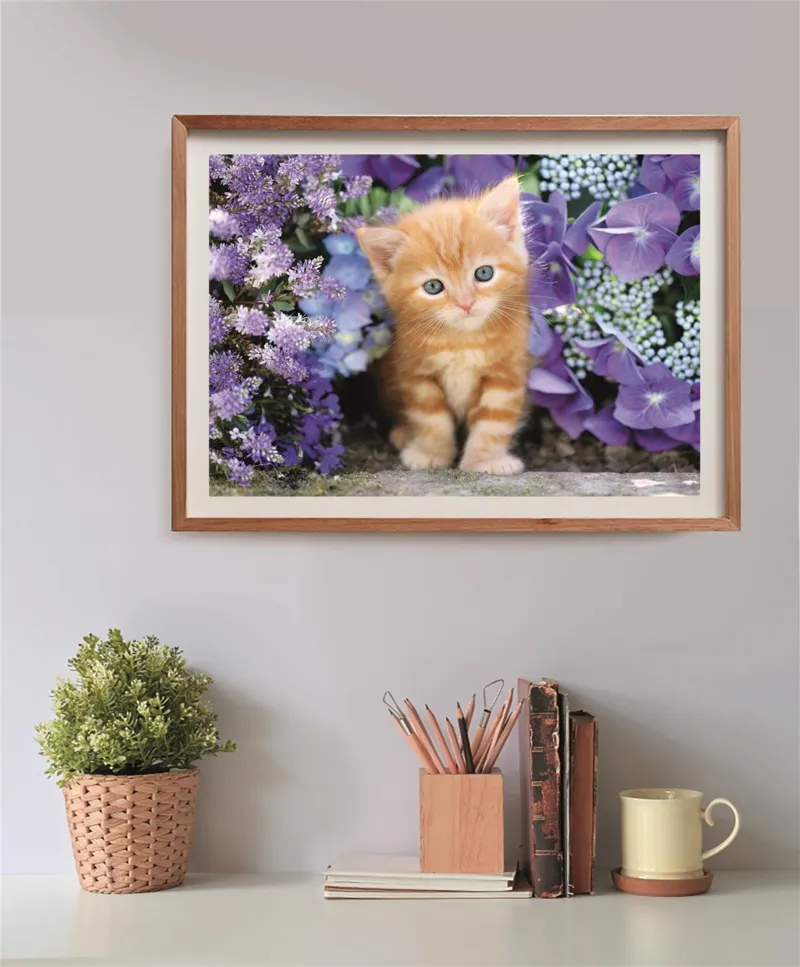Ginger Cat