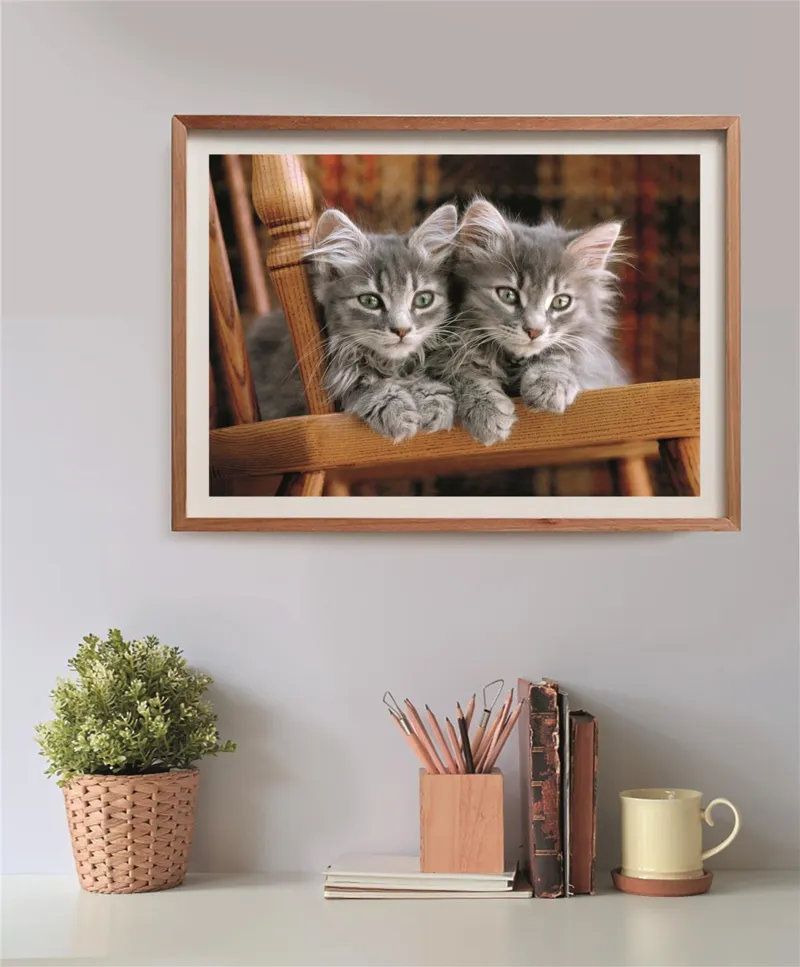 Chatons